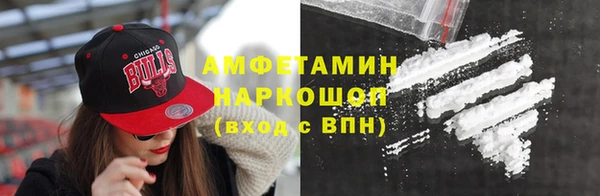 мет Алексин