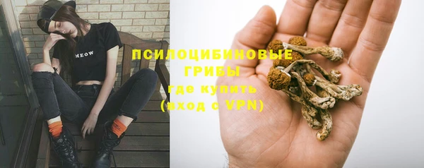 дурь Алзамай