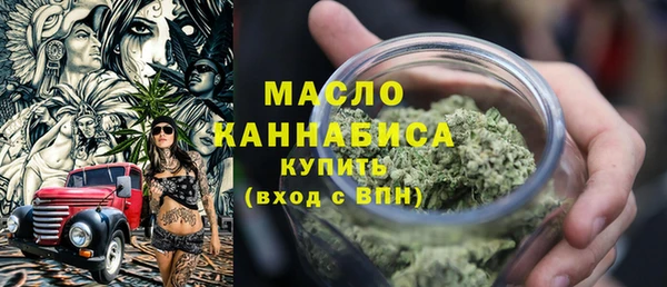 мет Алексин