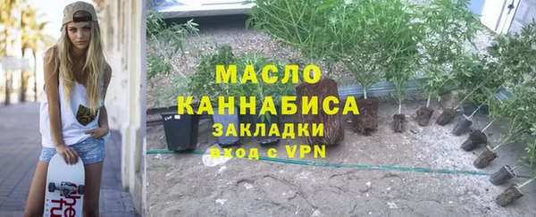 мет Алексин