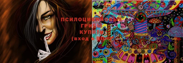 синтетический гашиш Алексеевка