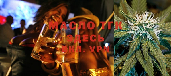 мет Алексин